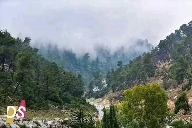 يافا | موسوعة القرى الفلسطينية